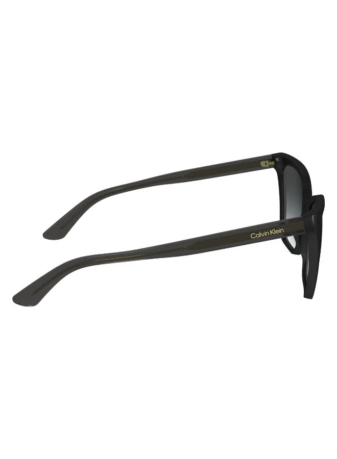 Calvin Klein  FULL RIM INJECTED CALVIN KLEIN SUN CK24507S  | Best Price UAE