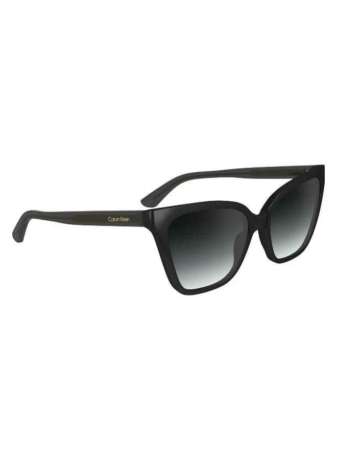 Calvin Klein  FULL RIM INJECTED CALVIN KLEIN SUN CK24507S  | Best Price UAE