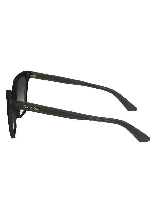 Calvin Klein  FULL RIM INJECTED CALVIN KLEIN SUN CK24507S  | Best Price UAE
