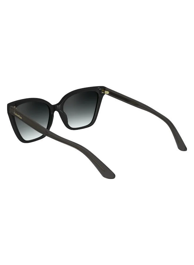 Calvin Klein  FULL RIM INJECTED CALVIN KLEIN SUN CK24507S  | Best Price UAE