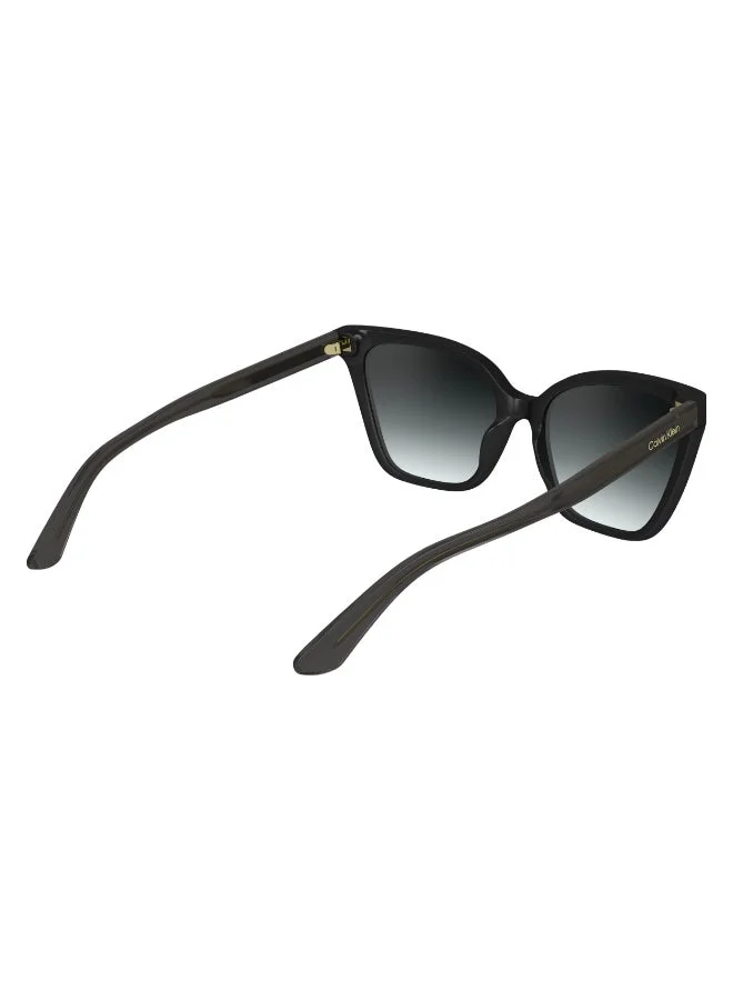 Calvin Klein  FULL RIM INJECTED CALVIN KLEIN SUN CK24507S  | Best Price UAE