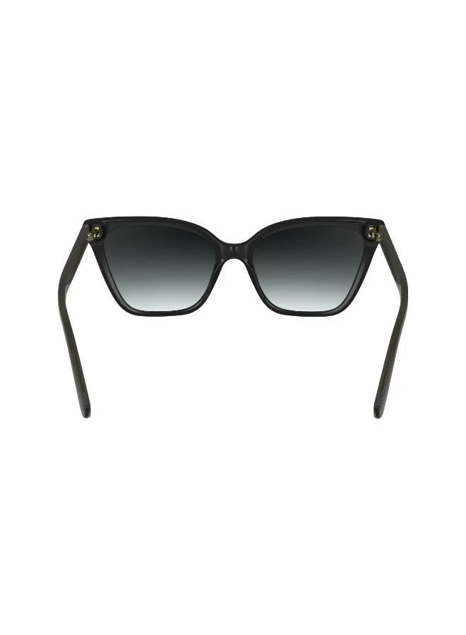 Calvin Klein  FULL RIM INJECTED CALVIN KLEIN SUN CK24507S  | Best Price UAE