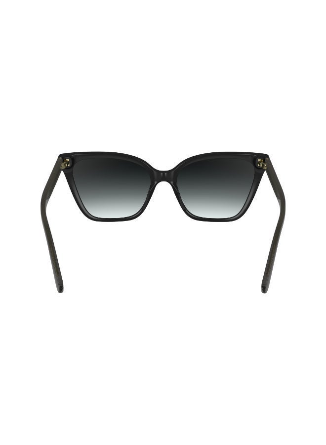 CALVIN KLEIN FULL RIM INJECTED CALVIN KLEIN SUN CK24507S - Image 5