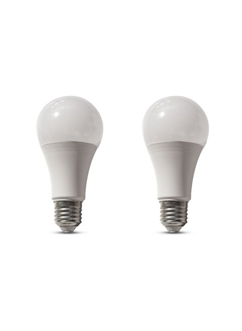 2 Bulbs, 12 Watt, White Light
