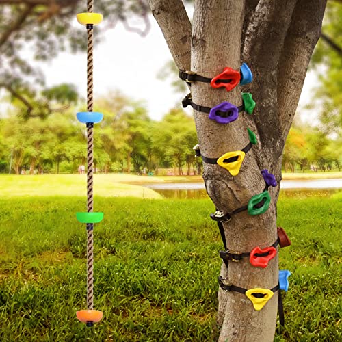 TOPNEW 12 Ninja Tree Climbing Holds and 656FT Climbing Rope for Kids Tree Climber Climbing Kit for Outdoor Ninja Warrior Obstacle Course Training