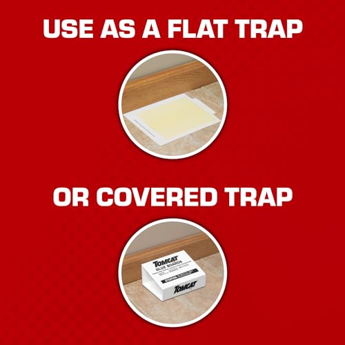 Tomcat Glue Boards with Immediate Grip Glue for Mice, Cockroaches, and Insects, Use Flat or Covered, Ready-To-Use, 4 Traps - Image 5