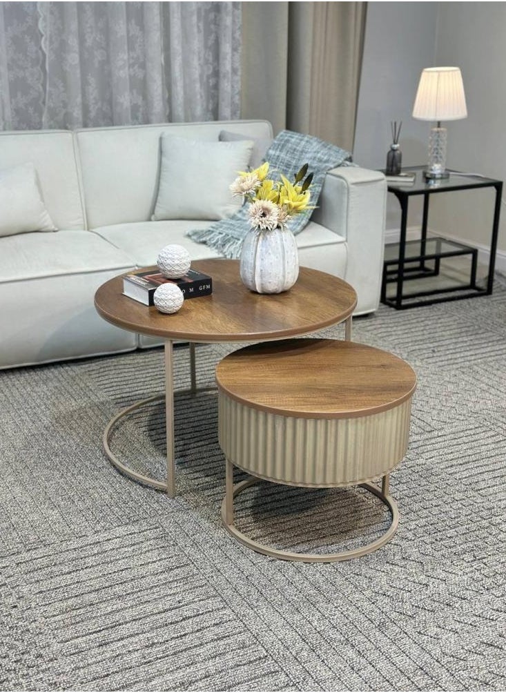 alimforyou - 2 Pieces Round Coffee Table Set Nesting Table Round Coffee Table Living Room Modern Simple Style Furniture Brown Balloon Side Table Big Table 80*50cm Small Table 60*45cm - Image 1