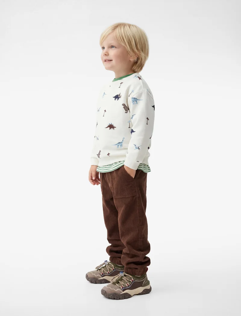 كوتون Dinosaur Printed Sweatshirt