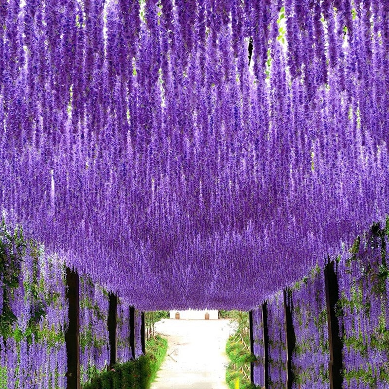 WEISPARK Fake Hanging Flowers - 12 Pieces 3.75 Feet/Piece Artificial Wisteria Vine Ratta Hanging Garland Silk Flowers for Home Party Wedding Decor (Purple) - Image 4