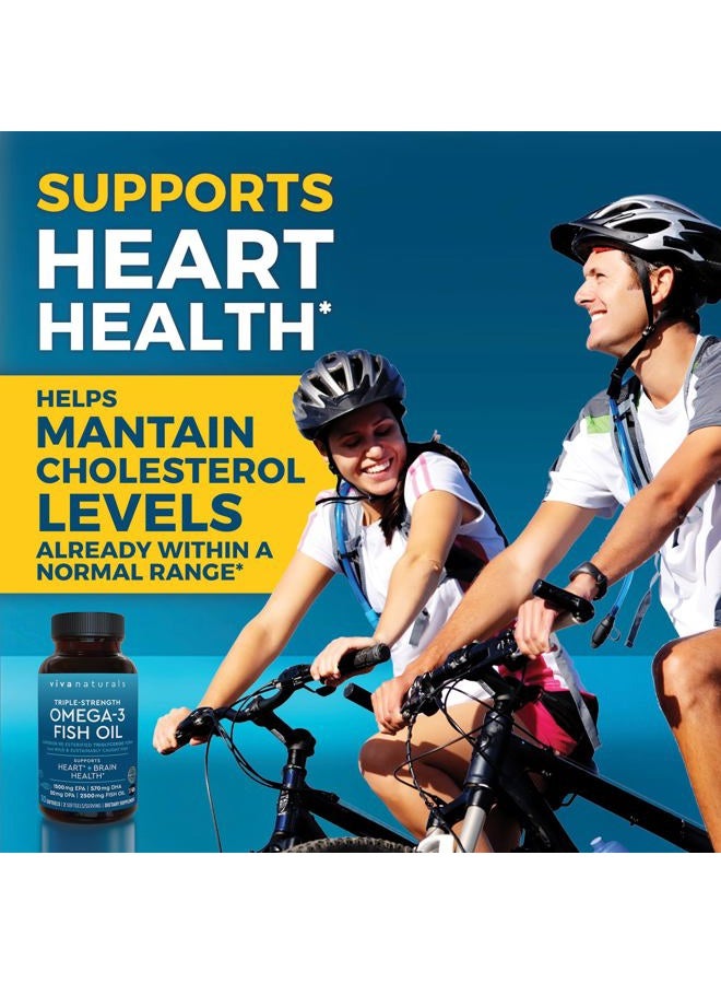 Viva Naturals مكمل زيت السمك أوميغا 3 للنساء والرجال - 2500 ملغ من كبسولات زيت السمك ثلاثية القوة مع أحماض أوميغا 3 الدهنية المعاد استرادها بما في ذلك EPA و DHA و DPA - 30 كبسولة لينة مناسبة للنباتيين - Image 5