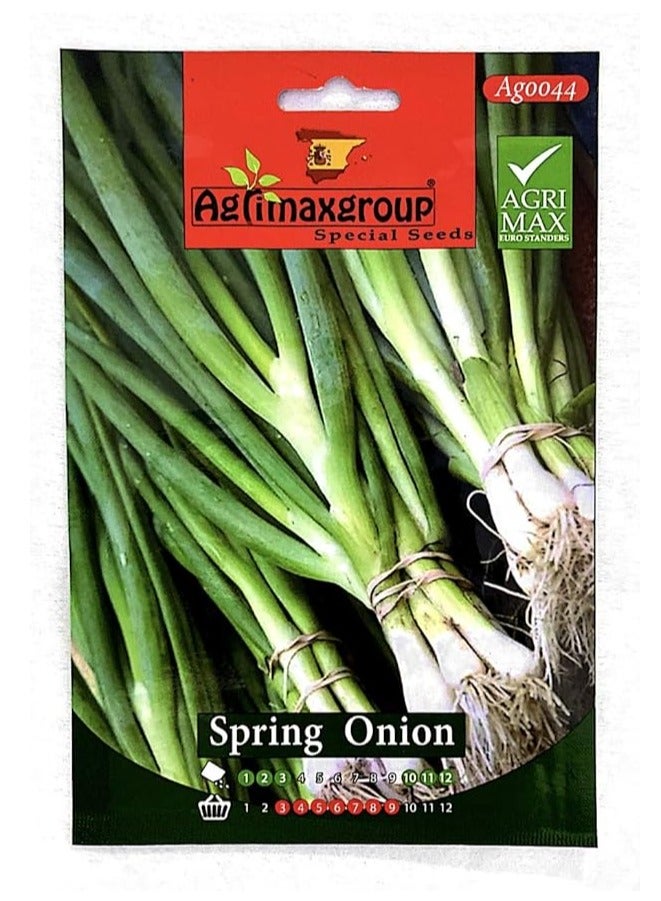 أجريماكس بذور البصل الأخضر Agrimax - Image 2