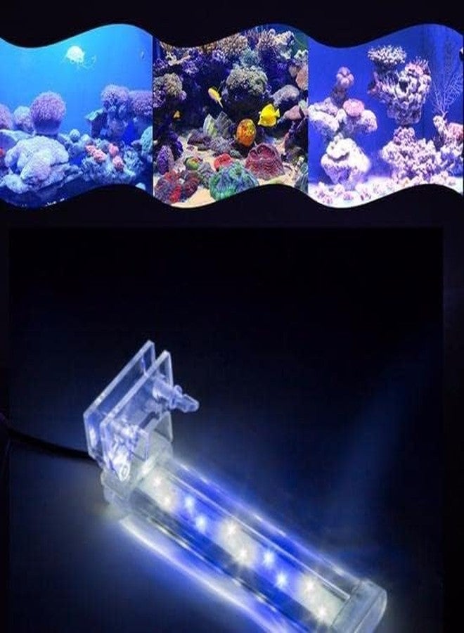 VAYINATO RS Electrical (RS-S20 | 6W | Fit for 25-30CM Aquarium Tank) LED Crystal Clip On ECO Green Series Aquarium Light | Blue & White - Image 3