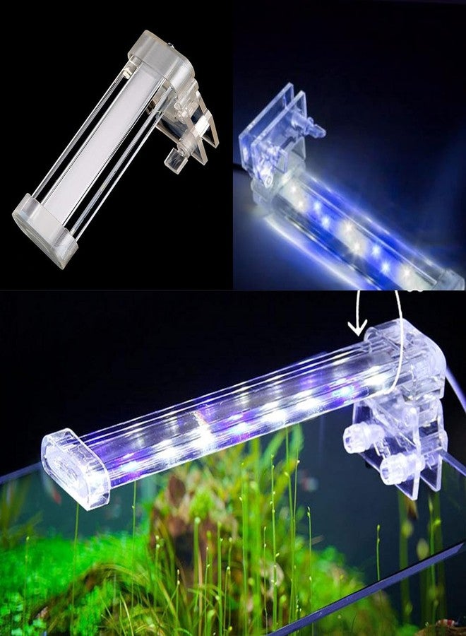 VAYINATO RS Electrical (RS-S20 | 6W | Fit for 25-30CM Aquarium Tank) LED Crystal Clip On ECO Green Series Aquarium Light | Blue & White - Image 1