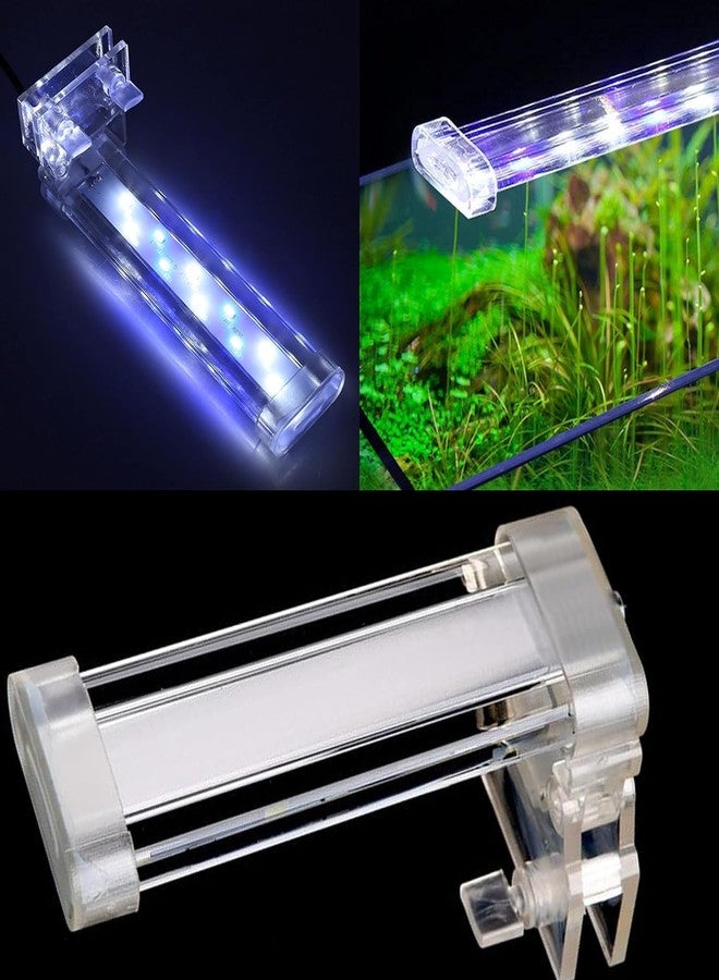 VAYINATO RS Electrical (RS-S20 | 6W | Fit for 25-30CM Aquarium Tank) LED Crystal Clip On ECO Green Series Aquarium Light | Blue & White - Image 2