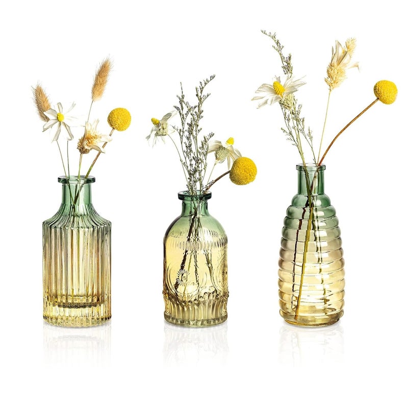 Ekhasa Nostrae by 100% Crystal Clear Glass Bud Vases Flower Pots for Home Decor (Set of 3) | Center Table Mini Decorative Items | Transparent Glass Vase for Plants | Planters for Indoor Plants - Image 1