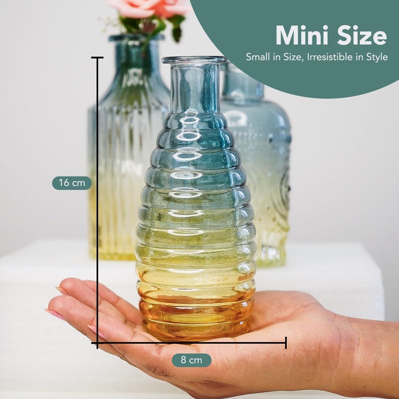 Ekhasa Nostrae by 100% Crystal Clear Glass Bud Vases Flower Pots for Home Decor (Set of 3) | Center Table Mini Decorative Items | Transparent Glass Vase for Plants | Planters for Indoor Plants - Image 3