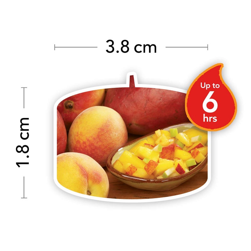 YANKEE CANDLE شموع يانكي كاندل الشاي الخفيف بنكهة مانجو خوخ سالسا عبوة من 12 - Image 3