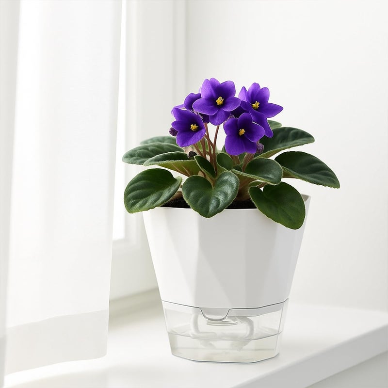 Planterhoma 5 Pack Self Watering Plant Pots 6.7 Inches Self Watering Planters for Indoor and Outdoor Plants African Violet Self Watering Pots Clear Pots for Plants Herb Orchid Flower Houseplant Pots, White - Image 5