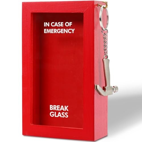 JULEASEL Funny Gift Emergency Box w/Hammer, Break in Case of Emergency Box, Personalized Prank Gag Gift for Birthday Holiday, Funny Desk Decor, White Elephant Gift for Friend Coworker Family - Image 1
