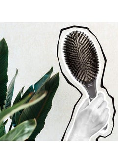 Olivia Garden Ceramic + Ion Supreme Paddle Hair Brush 100% Boar (Cispbr)  - Image 5