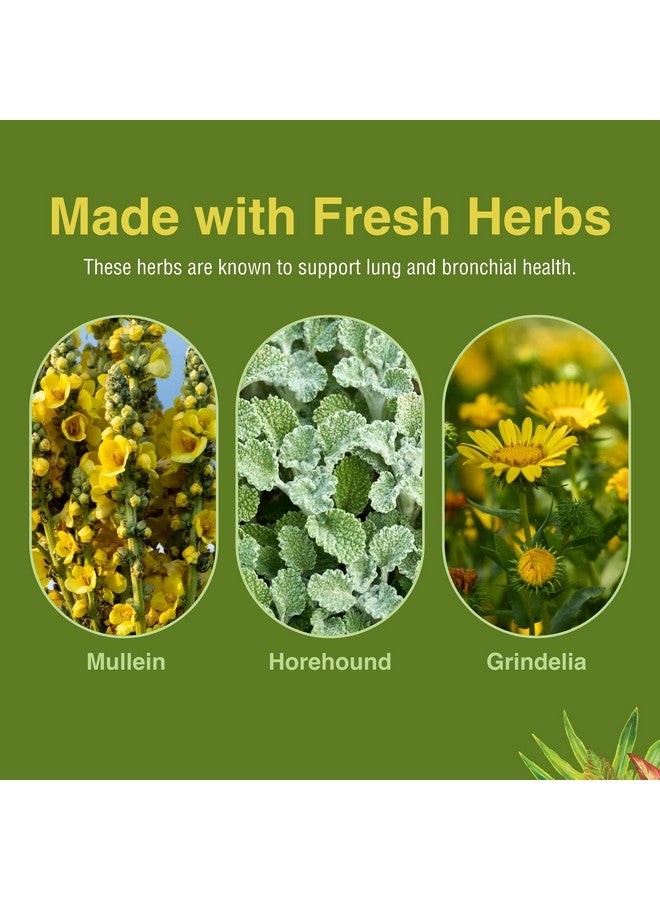 هيربز إي تي سي. Herbs Etc. Lung Tonic - مكمل غذائي للرئة لدعم الشعب الهوائية - دعم التنفس الصحي مع الخطمي والزعتر البري والجرندلي - 120 كبسولة هلامية - Image 4