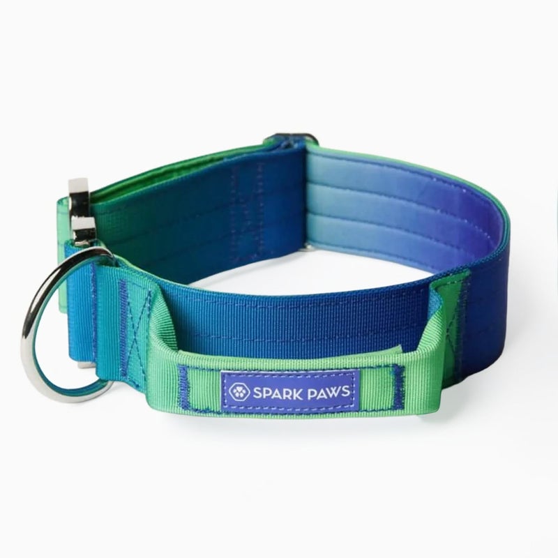 Spark Paws Tactical Dog Collar Heavy Duty Premium Quality Thick and Durable for Large and Medium Dogs Lime Wave L - Image 2