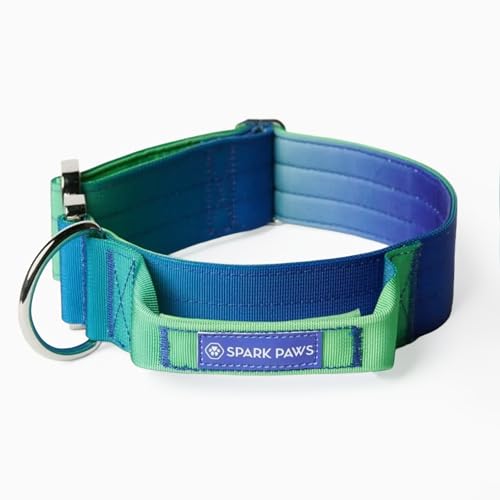 Spark Paws Tactical Dog Collar Heavy Duty Premium Quality Thick and Durable for Large and Medium Dogs Lime Wave L - Image 1