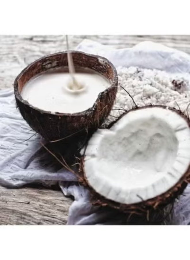 أو جي إكس شامبو للشعر الكيرلي بجوز الهند - 385 مل - Image 3