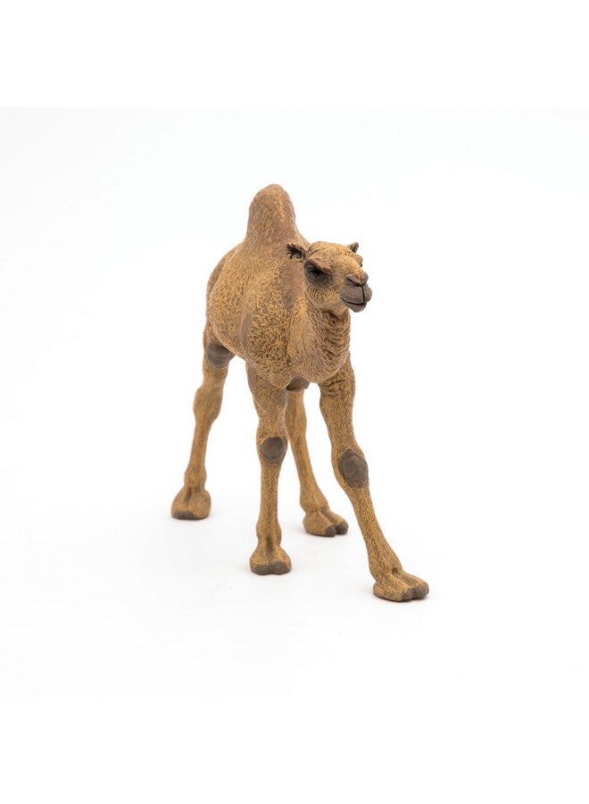 Papo بابو - تمثال مطلي يدويًا - مملكة الحيوانات البرية - جمل - 50151 - قابل للجمع - للأطفال - مناسب للأولاد والبنات - من 3 سنوات فما فوق - Image 4