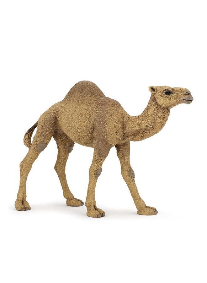 Papo بابو - تمثال مطلي يدويًا - مملكة الحيوانات البرية - جمل - 50151 - قابل للجمع - للأطفال - مناسب للأولاد والبنات - من 3 سنوات فما فوق - Image 1