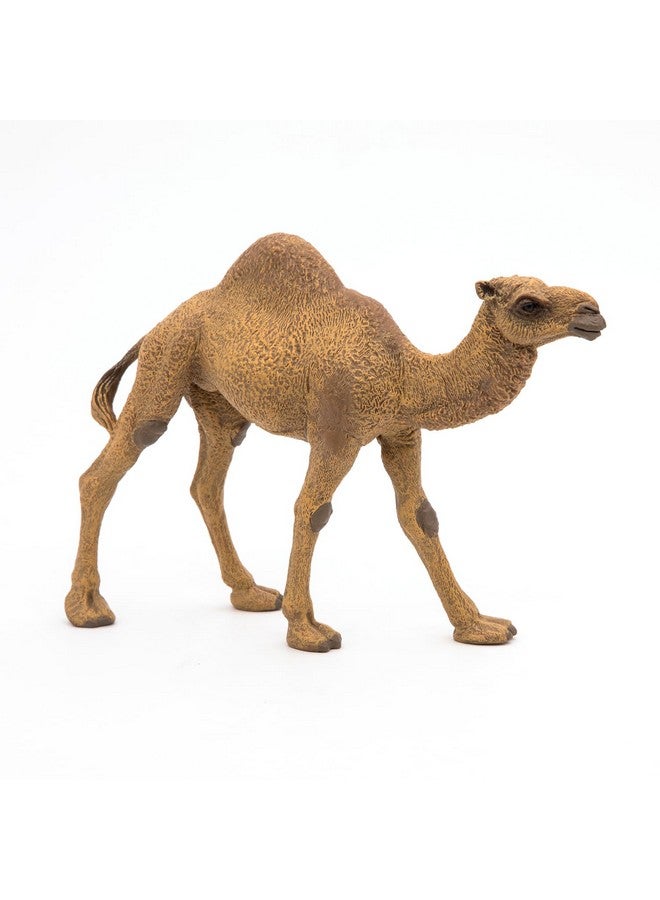 Papo بابو - تمثال مطلي يدويًا - مملكة الحيوانات البرية - جمل - 50151 - قابل للجمع - للأطفال - مناسب للأولاد والبنات - من 3 سنوات فما فوق - Image 3