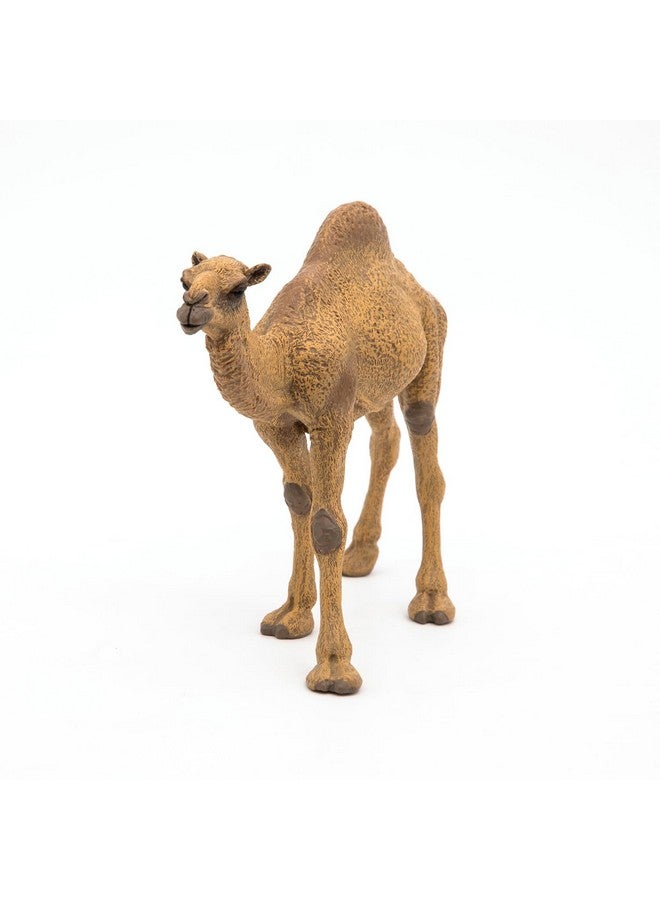 Papo بابو - تمثال مطلي يدويًا - مملكة الحيوانات البرية - جمل - 50151 - قابل للجمع - للأطفال - مناسب للأولاد والبنات - من 3 سنوات فما فوق - Image 5