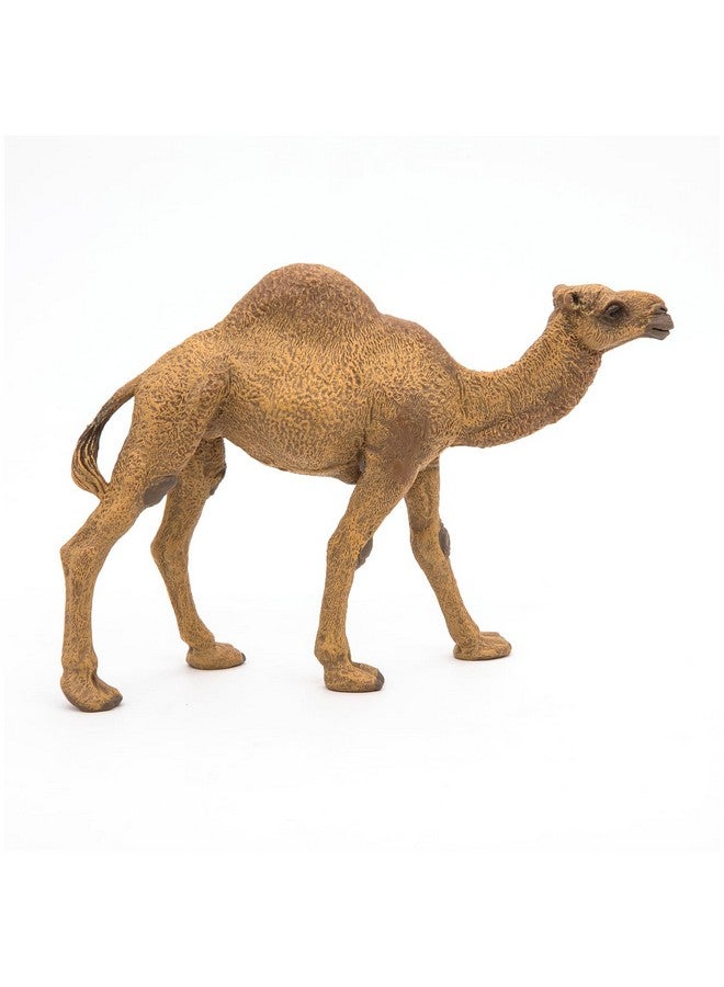 Papo بابو - تمثال مطلي يدويًا - مملكة الحيوانات البرية - جمل - 50151 - قابل للجمع - للأطفال - مناسب للأولاد والبنات - من 3 سنوات فما فوق - Image 2