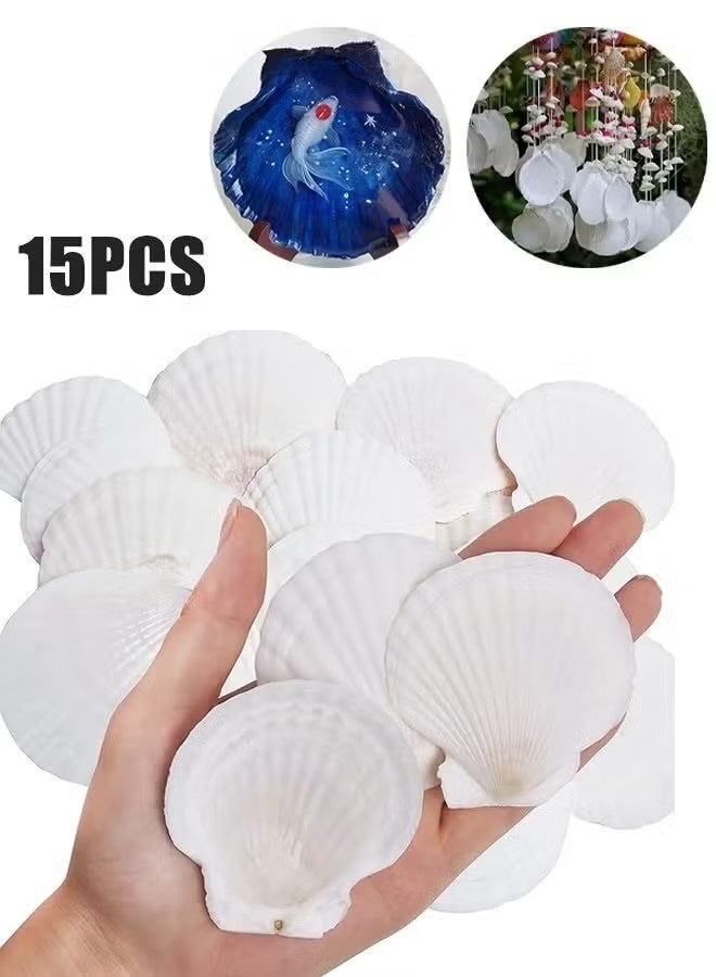 SUFADA 15 pcs Natural Scallop Shells 2-3 inch White Sea Shells from Sea Beach for DIY Craft Home - Image 1