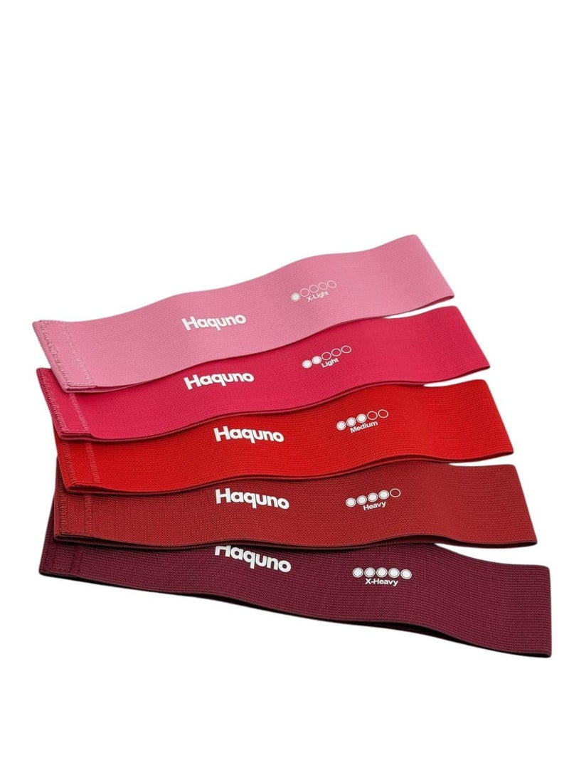 SportQ - 5 Pack Fabric Resistance Bands 10-75 lbs Workout Bands for Women and Men, Non-Slip Elastic Band for Legs and Legs Exercise, Fitness, Home Workout, Gym - Image 1