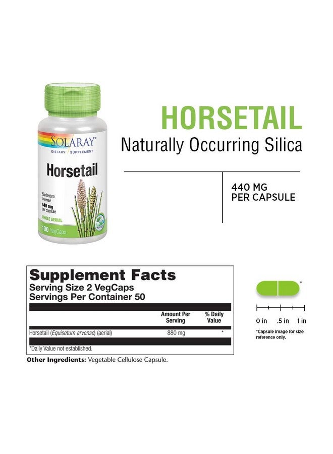 Solaray Horsetail 880 mg | Silica Supplement for Healthy Hair, Skin, Nails & Joint Support | 50 Servings | 100 VegCaps - Image 2