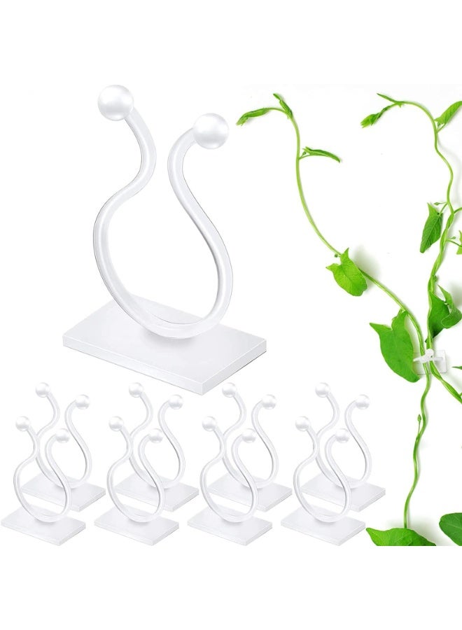 كيلا 50 قطعة من مشابك تثبيت النباتات الجدارية غير المرئية، مشابك دعم نباتات قابلة للتعديل، أجهزة تثبيت نباتات جدارية ذاتية اللصق للحديقة أو الشرفة أو الدفيئة أو النباتات الداخلية - Image 1