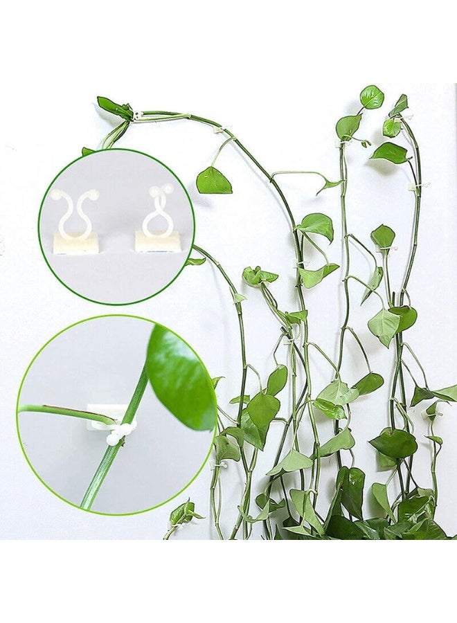 كيلا 50 قطعة من مشابك تثبيت النباتات الجدارية غير المرئية، مشابك دعم نباتات قابلة للتعديل، أجهزة تثبيت نباتات جدارية ذاتية اللصق للحديقة أو الشرفة أو الدفيئة أو النباتات الداخلية - Image 3