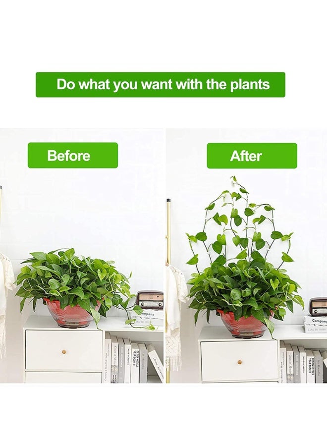 كيلا 50 قطعة من مشابك تثبيت النباتات الجدارية غير المرئية، مشابك دعم نباتات قابلة للتعديل، أجهزة تثبيت نباتات جدارية ذاتية اللصق للحديقة أو الشرفة أو الدفيئة أو النباتات الداخلية - Image 2