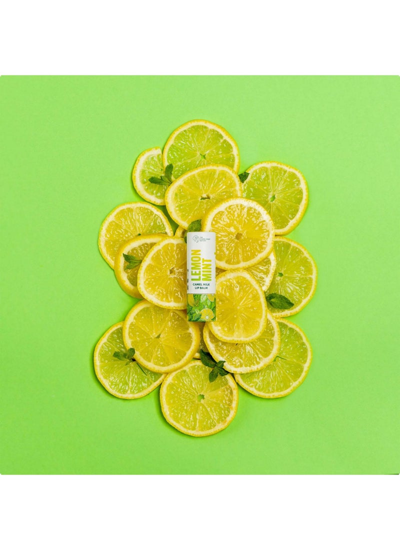 The Camel Soap Factory Lemon Mint Lip Balm with Camel Milk - Image 4