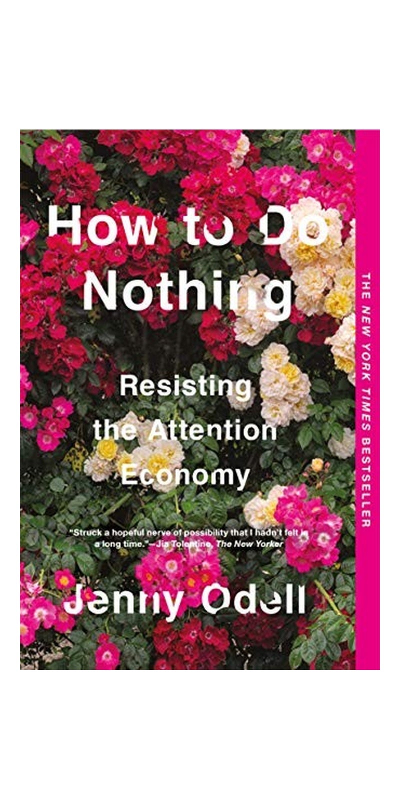 How to Do Nothing: Resisting the Attention Economy
