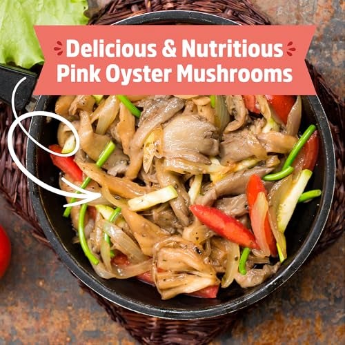 Back to the Roots Organic Pink Miniature Mushroom Grow Kit, Harvest Gourmet Mushrooms in 10 Days - Image 5