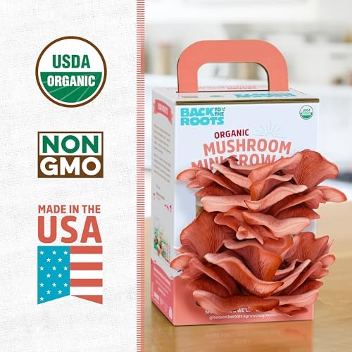 Back to the Roots Organic Pink Miniature Mushroom Grow Kit, Harvest Gourmet Mushrooms in 10 Days - Image 2