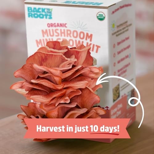 Back to the Roots Organic Pink Miniature Mushroom Grow Kit, Harvest Gourmet Mushrooms in 10 Days - Image 3