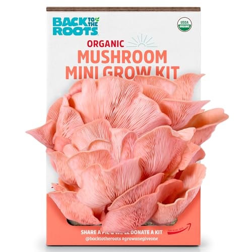 Back to the Roots Organic Pink Miniature Mushroom Grow Kit, Harvest Gourmet Mushrooms in 10 Days - Image 1