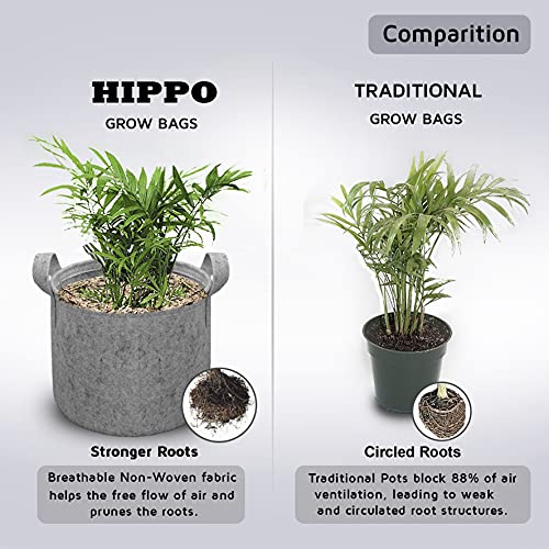 HIPPO 5 Pack Grow Bag Heavy Duty 400G Thickened Non-Woven Fabric Plant Growing Pot for Outdoor Garden (Grey || 12INX14IN) - Image 5