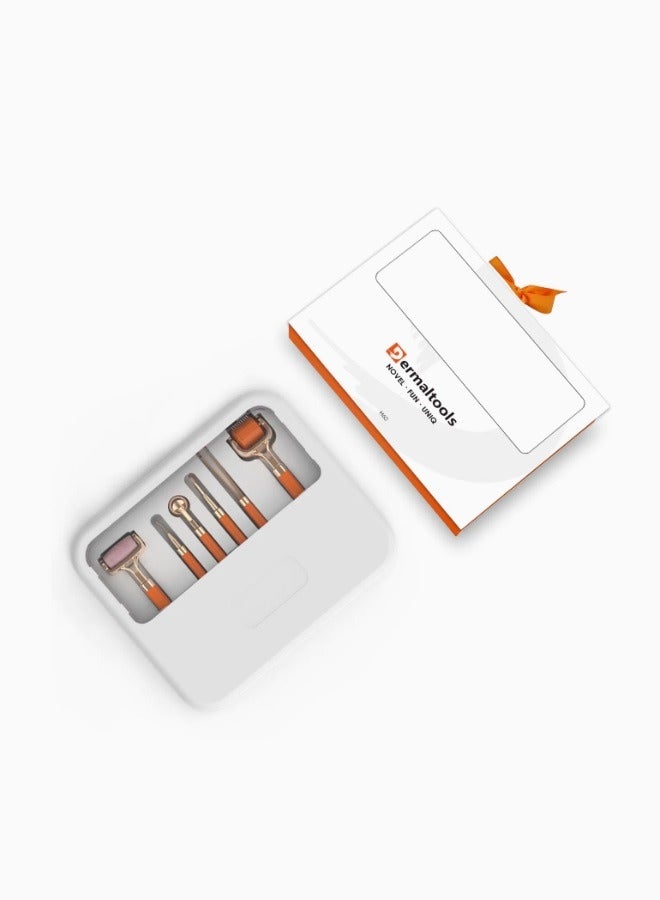 Derma tools H60 Novel Fun Unique 6 in 1 - Image 1