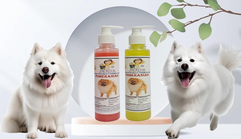 SWACCH Premium Shampoo for Pomeranian (200ML) (Combo Pack of 2) Jasmine & Lemon - Image 2