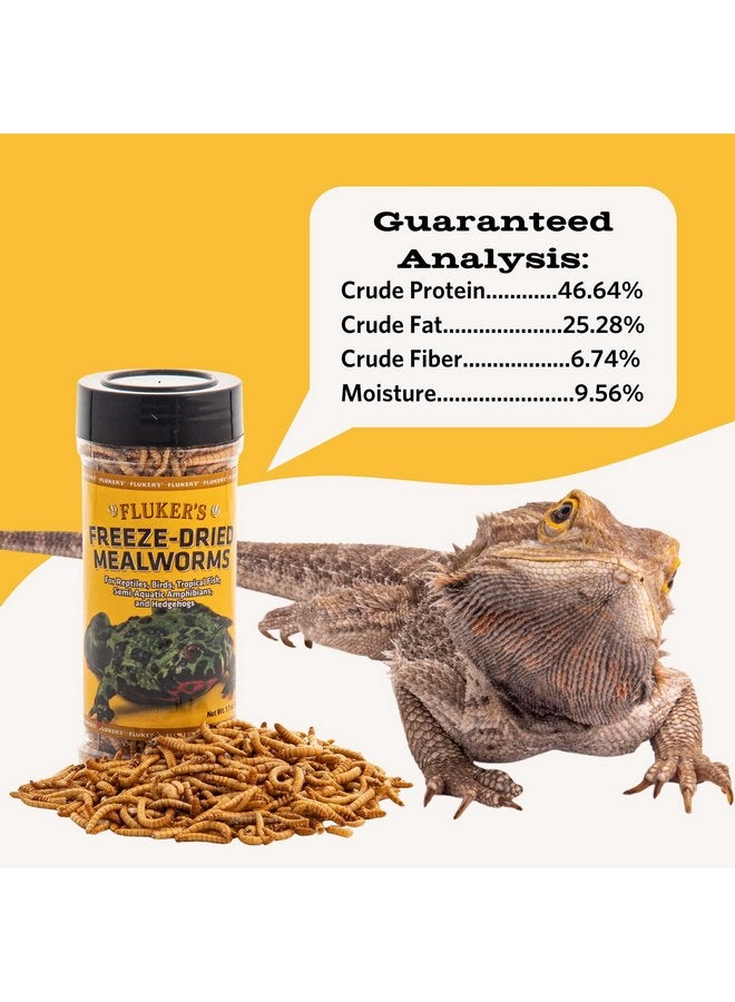 Fluker's Fluker's Freeze Dried Insects, Nutrient, Packed Mealworms, Ideal for Lizards, Reptiles, Birds, Fish, Hedgehogs, 1.7 oz - Image 2
