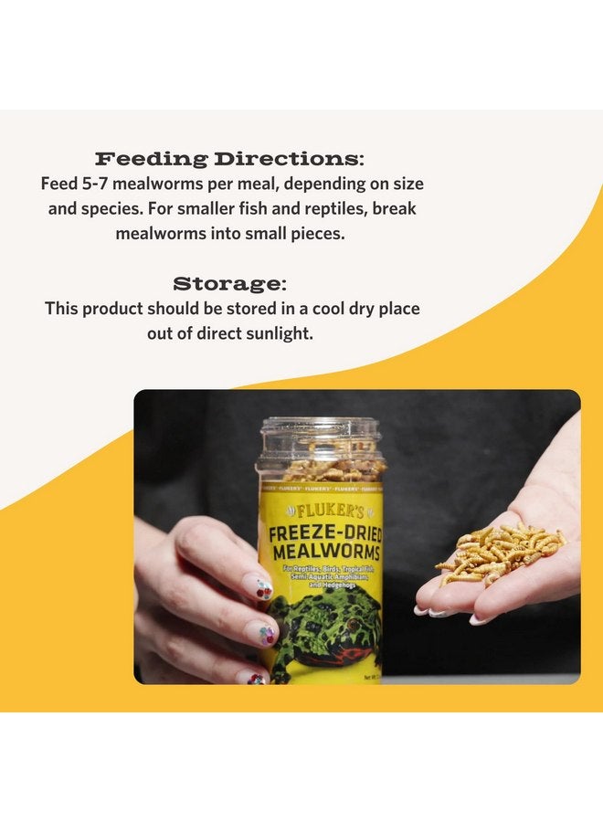 Fluker's Fluker's Freeze Dried Insects, Nutrient, Packed Mealworms, Ideal for Lizards, Reptiles, Birds, Fish, Hedgehogs, 1.7 oz - Image 3